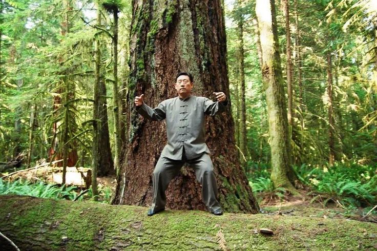 Chen Xiaowang practising standing post in a forest