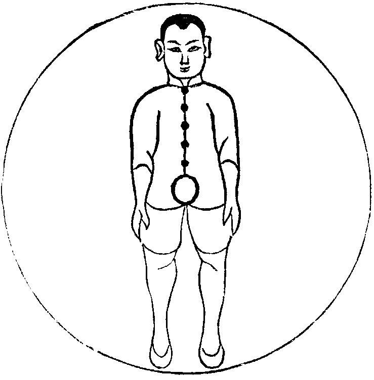 Chen Xin's beginning posture diagram
